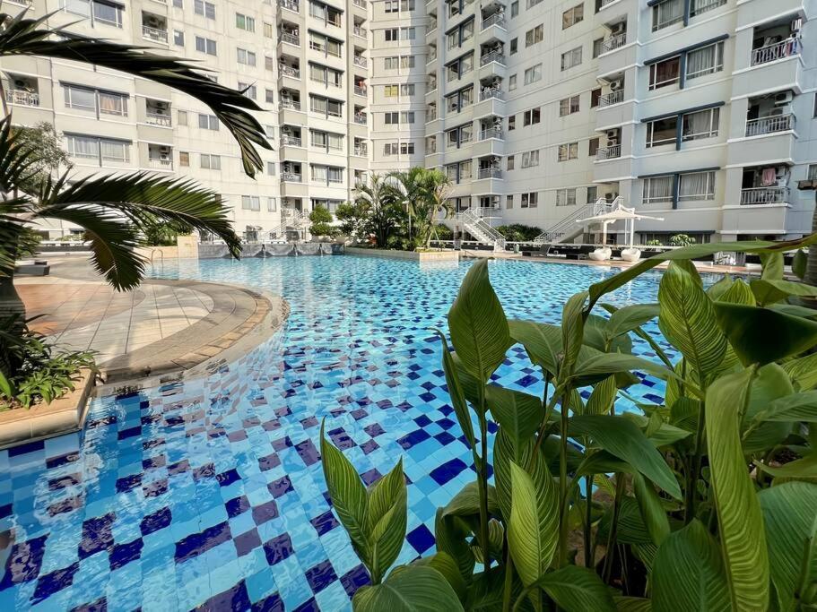 Apartemen Cozy 2br Sudirman With Pool, Wi-fi, & Netflix By 2ndhome